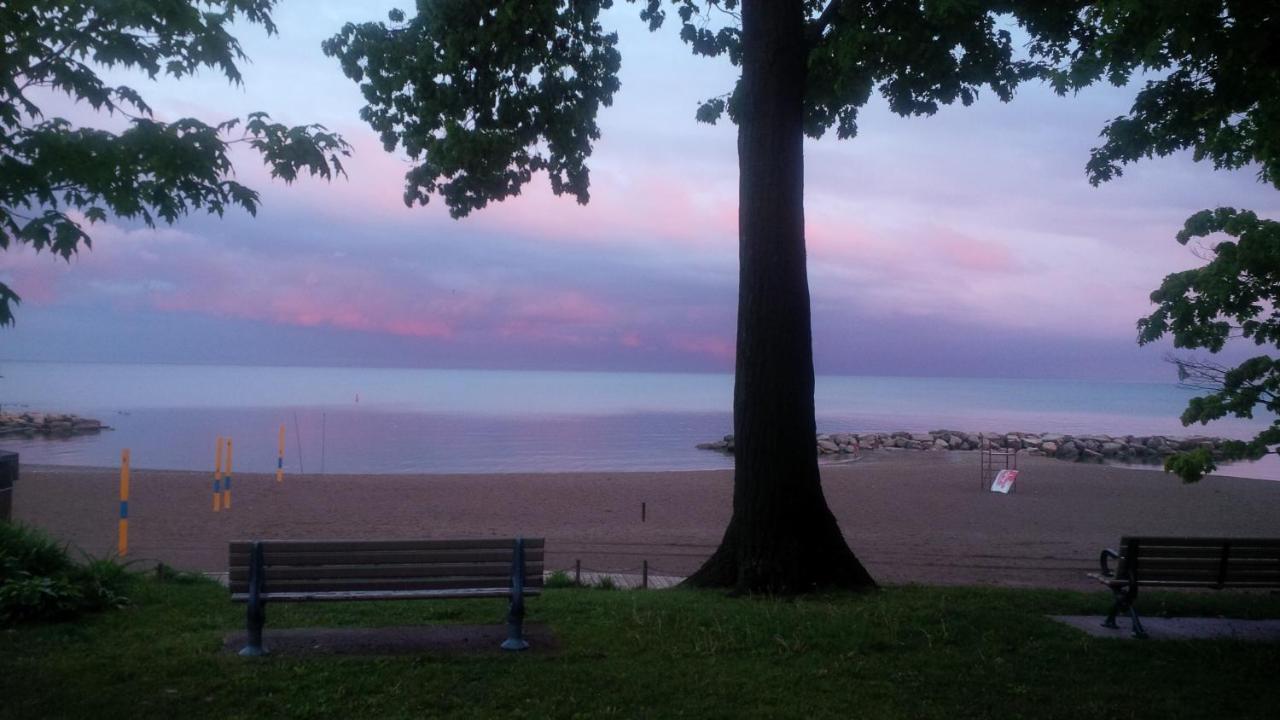An Independent Beach Retreat Steps From The Lake And Right In The City Daire Toronto Dış mekan fotoğraf